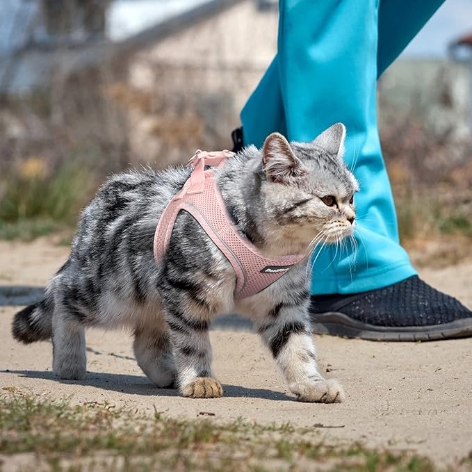 PetiFine Extra Small Step in Dog Harness and Leash Set, Cat Harness and Leash Escape Proof, All Weather Mesh Reflective, Step-in Air Vest Harnesses for Puppy(XXXS, Pink)