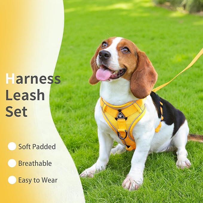 No Pull Dog Harness with Leash Set for Small Sized Dog, Reflective Adjustable No Choke Front Clip Cat Vest Harness with Breathable Mesh, Comfortable Soft Padded Pet Vest, Yellow S