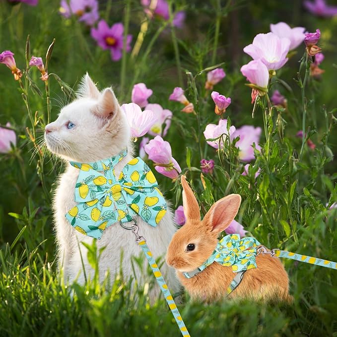 PAWCHIE Cat Harness and Leash Set with Bow Knot,Cats Escape Proof - Adjustable Daisy Floral Kitten Harness Soft Outdoor Walking Travel Pet Harness,Puppy Harness for Girl Cats Bunny Rabbit Small Dog