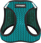Best Pet Supplies - All Weather Mesh/Plush, Reflective, No Pull Harness for Small, Medium Dogs, Cats - Secure with Hook & Loop Fastener, Buckle, Double D-Rings - Turquoise 2-Tone, S