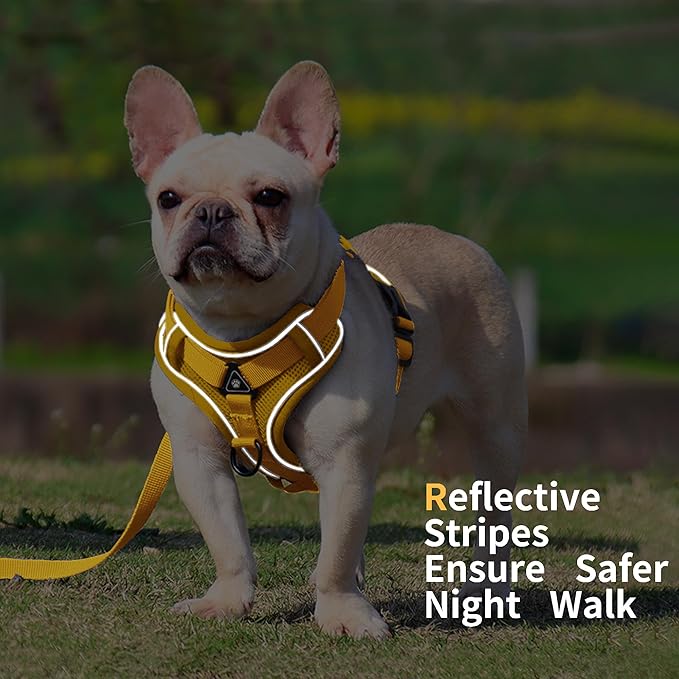 No Pull Dog Harness with Leash Set for Small Sized Dog, Reflective Adjustable No Choke Front Clip Cat Vest Harness with Breathable Mesh, Comfortable Soft Padded Pet Vest, Yellow M