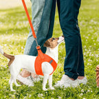 PUPTECK Adjustable Dog Harness Collar and Leash Set Step in No Pull Pet Harness for Small Medium Dogs Puppy and Cats Outdoor Walking Running, Soft Mesh Padded Reflective Vest Harnesses