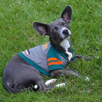 Miami Dolphins Hoodie Tee Shirt