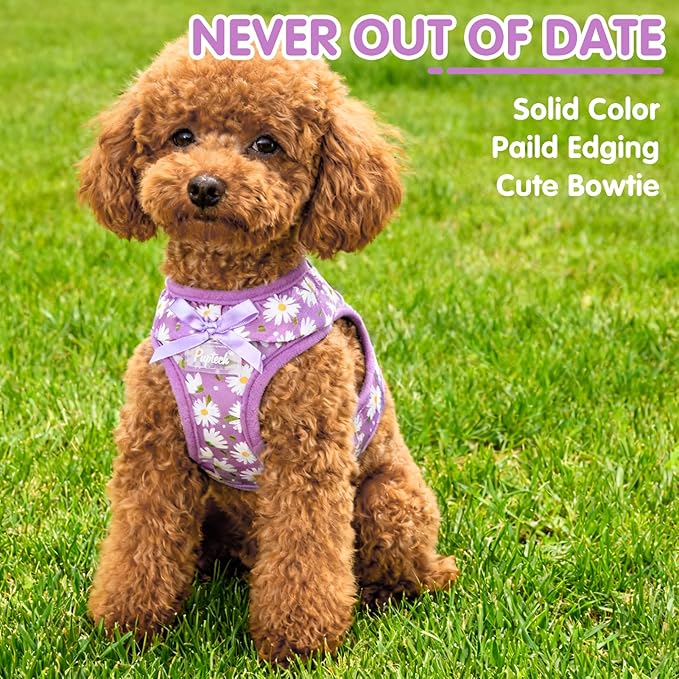 PUPTECK Dog Harness for Puppy and Small Sized Dogs, Step-in No Pull Soft Mesh Vest Harness for Cats Small Pets Walking, Purple Dasiy, New XS