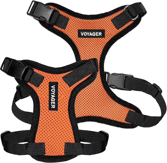Voyager Step-in Pet Harness - All Weather Mesh, Adjustable Step in Harness for Cats and Dogs by Best Pet Supplies - Orange/Black Trim, XS