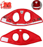 FEimaX Dog Harness and Leash Set for Walking, Soft Mesh Adjustable Easy Control Lightweight Cat Vest Harnesses with Reflective Strips, Escape Proof Small Dogs Cats Vests (Red, X-Large)