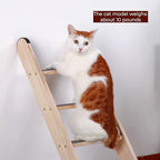 SHENGOCASE Solid Wood Wall Leaning Cat Ladder for Indoor Cats and Small Medium Dog, Stair Step for Window Bed, Wall Climbing Furniture (31.5")