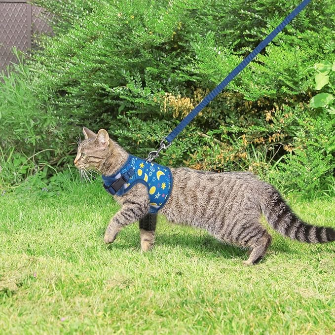 BINGPET Cat Harness with Leash Escape Proof - Fashionable Mesh Cat Dog Walking Harness Leads, Adjustable for Kitties Puppies Small Animals,Galaxy,XL