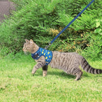 BINGPET Cat Harness with Leash Escape Proof - Fashionable Mesh Cat Dog Walking Harness Leads, Adjustable for Kitties Puppies Small Animals,Galaxy,M