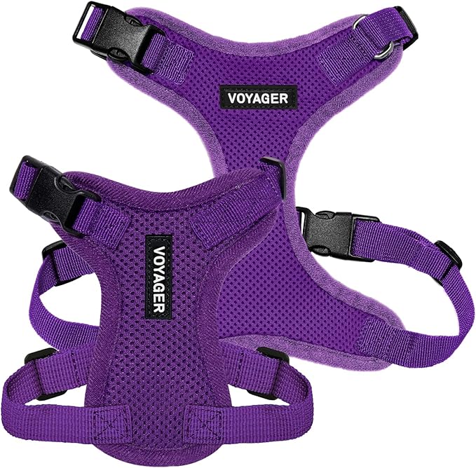 Voyager Step-in Pet Harness - All Weather Mesh, Adjustable Step in Harness for Cats and Dogs by Best Pet Supplies - Purple, S