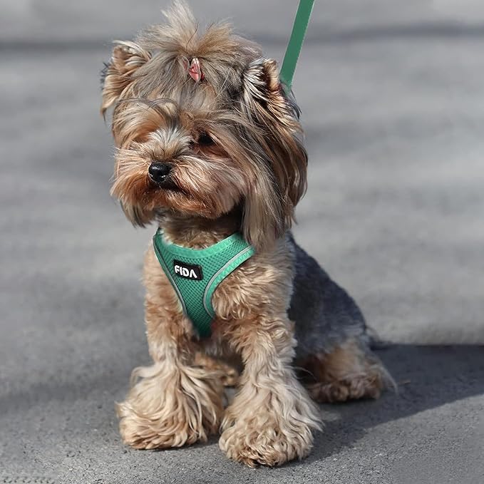 Fida Cat Harness and Leash Set for Walking Kitten and Puppy, Escape Proof Kitten Harness with Breathable Lightweight Soft Mesh, Adjustable Reflective Step-in Design. (XXS, Green)
