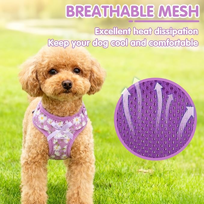 PUPTECK Dog Harness for Puppy and Small Sized Dogs, Step-in No Pull Soft Mesh Vest Harness for Cats Small Pets Walking, Purple Dasiy, New XS