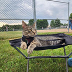 Voyager Escape-Proof Step-in Lock Cat Harness & 5ft Neoprene-Handle Leash Set All-Weather Mesh with Reflective Stitching for Small to Large Cats by Best Pet Supplies, Army/Black Trim, S