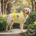 Personalized Matching Dog and Owner Clothes Separately Sold, Custom Face Nightgown for Women Dogs