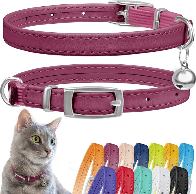 CollarDirect Leather Cat Collar with Bell - Kitten Collar, Small and Big Cat Collar for Boy Cats, Girl Cats with Safety Elastic Strap (Neck Fit 8"-11", Pink)