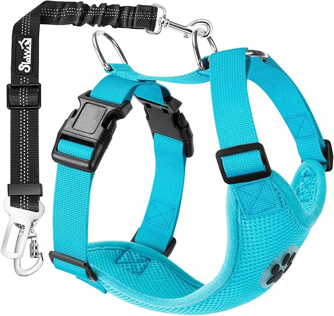 SlowTon Dog Seat Belt Harness for Car, Dog Car Harness Adjustable Mesh Breathable & Dog Seatbelt Safety Tether with Elastic Bungee for Small Medium Large Pets(Light Blue, Double Clip, M)
