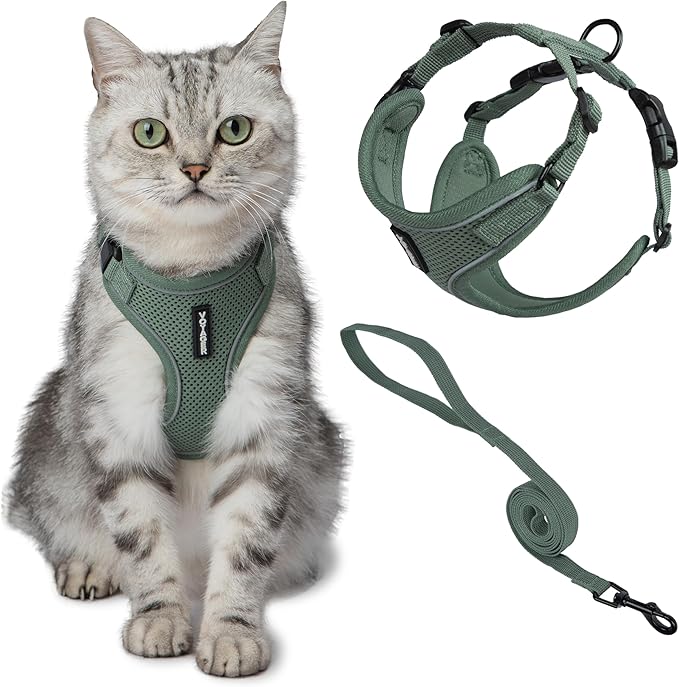 Voyager Escape-Proof Step-in Lock Cat Harness & 5ft Neoprene-Handle Leash Set All-Weather Mesh with Reflective Stitching for Small to Large Cats by Best Pet Supplies, Moss Green (327), XS