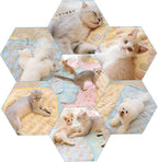 NACOCO Pet Cooling Mat Cat Dog Cushion Pad Summer Cool Down Comfortable Soft for Pets and Adults (M, Blue)