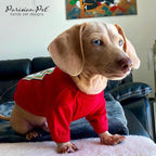 Parisian Pet Ketchup Dog Costume - 100% Cotton Red Dog Clothes for Large Dogs Boys - Lightweight Puppy Outfits - Funny French Bulldog Clothes - Cute Pet Shirt - Stretchy T Shirt for Dogs