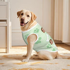Personalized Matching Dog and Owner Clothes Separately Sold, Custom Face Nightgown for Women Dogs