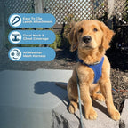 Best Pet Supplies Voyager Step-in Air All Weather Mesh Harness and Reflective Dog 5 ft Leash Combo with Neoprene Handle, for Small, Medium and Large Breed Puppies - Set (Royal Blue), S