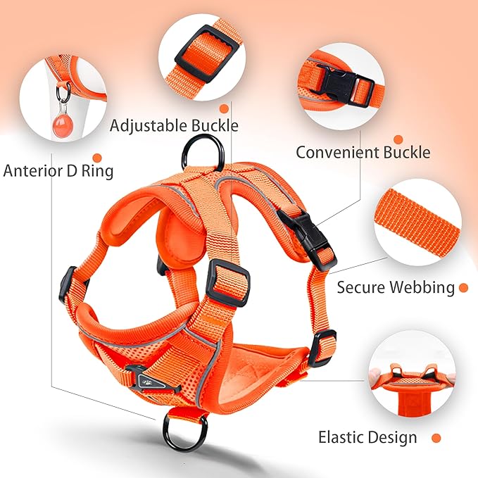 No Pull Dog Harness with Leash Set for Small Sized Dog, Reflective Adjustable No Choke Front Clip Cat Vest Harness with Breathable Mesh, Comfortable Soft Padded Pet Vest, Orange L