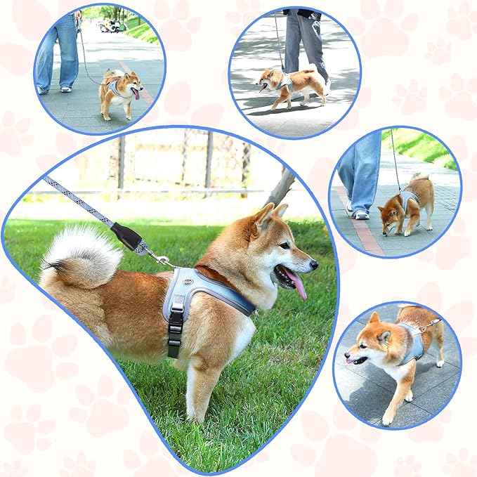 Dog Harness and Leash Set, No Pull Saddle Style Pet Harness, Breathable Mesh Adjustable Reflective Dog Vest for Dogs and Cat Medium Small Harness 2 D-Rings (Blue, M)