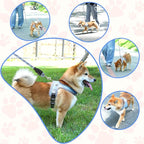 Dog Harness and Leash Set, No Pull Saddle Style Pet Harness, Breathable Mesh Adjustable Reflective Dog Vest for Dogs and Cat Medium Small Harness 2 D-Rings (Blue, S)