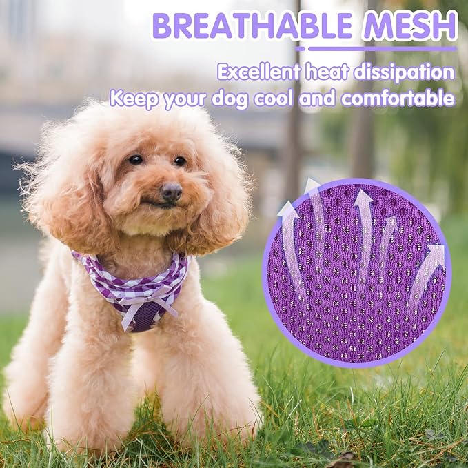PUPTECK Dog Harness for Puppy and Small Sized Dogs, Step-in No Pull Soft Mesh Vest Harness for Cats Small Pets Walking, Purple, New XXS