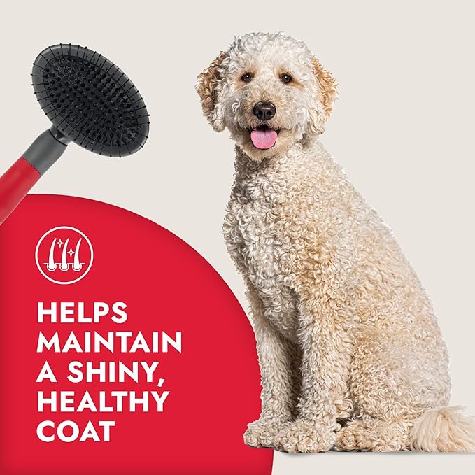 KONG 4-in-1 Interchangeable Dog Grooming Tool – Rake, Slicker, Comb & Pin Brush Heads, Versatile All-in-One Design, Non-Slip Handle, for All Coat Types, Red/Gray