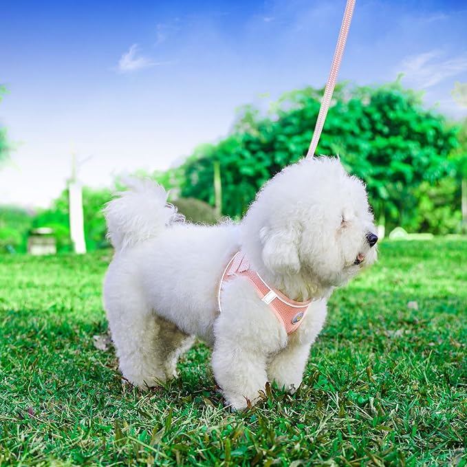 Hipubby Dog Harness and Leash Set, No Pull Soft Mesh Puppy Harness for Small Medium Dogs, Cats - Step in Reflective Breathable Lightweight Vest Harness for Walking, Training - Pink, XS