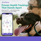 V3.0 Dog Health Monitor – AI Health Collar with 24/7 Vital Signs Tracks Pain GPS, Telehealth AskaVet & Share with Your Vet & Apple Watch Sync – Subscription Required (Medium)