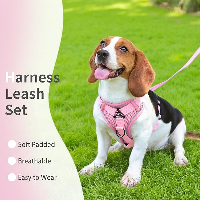 No Pull Dog Harness with Leash Set for Small Sized Dog, Reflective Adjustable No Choke Front Clip Cat Vest Harness with Breathable Mesh, Comfortable Soft Padded Pet Vest, Pink S