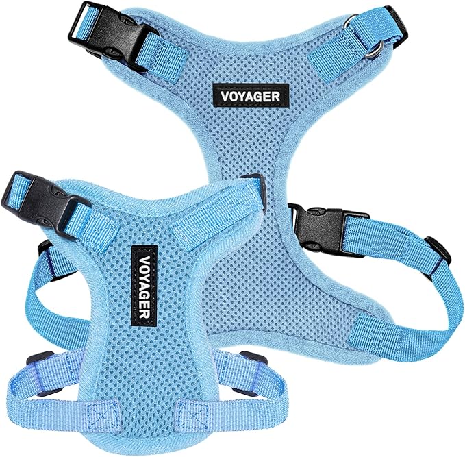 Voyager Step-in Pet Harness - All Weather Mesh, Adjustable Step in Harness for Cats and Dogs by Best Pet Supplies - Baby Blue, S