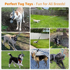 LOOBANI Outdoor Bungee Tug Toy, Dog Toy Hanging from Tree for Small to Large Dogs, Interactive Exercise Play Cord & Tether with Chew Rope Toy (Tree Stump Tug of War-Green)