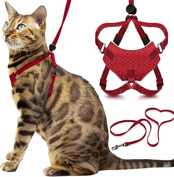 Houdini™ Escape Proof Kitten Harness and Leash Set by OutdoorBengal – Red, Small Cat Harness for Walking