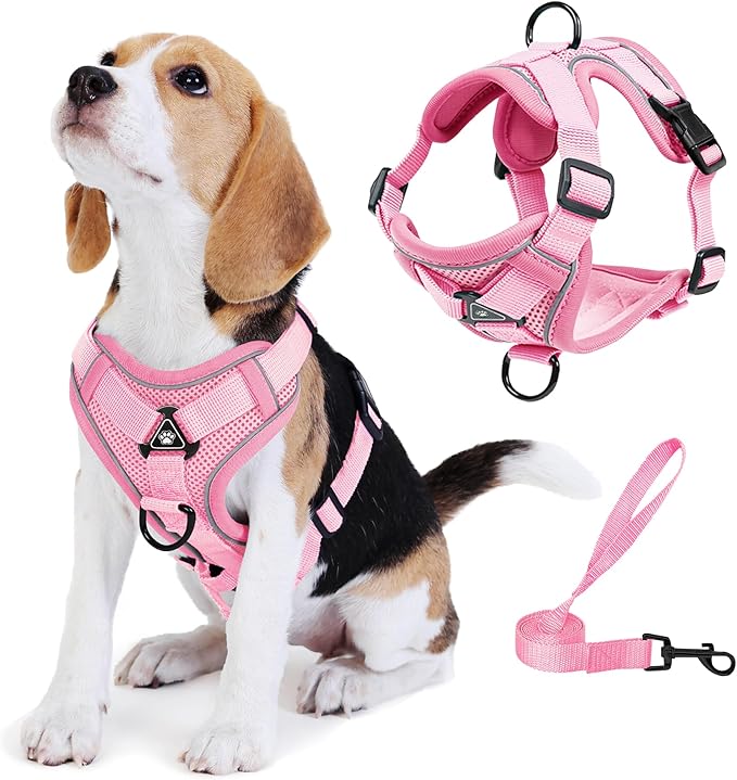 No Pull Dog Harness with Leash Set for Medium Sized Dog, Reflective Adjustable No Choke Front Clip Cat Vest Harness with Breathable Mesh, Comfortable Soft Padded Pet Vest, Pink XL