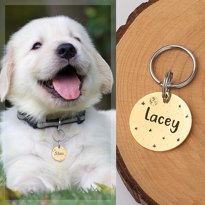 Anavia Small Size Dog Cat ID Tags, Small/XS Personalized Color Plated Stainless Steel Puppy Kitten Name Tags, Customized Engraved Nameplate Pet Collar Tag (Rainbow, Round)