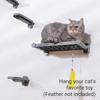 SVD.PET Cat Wall Shelves, 17" x 8" Wall Furniture with Felt Pad, Modern Design, Easy to Install & Clean, Cat Perch for Sleeping & Playing (Dark Grey)
