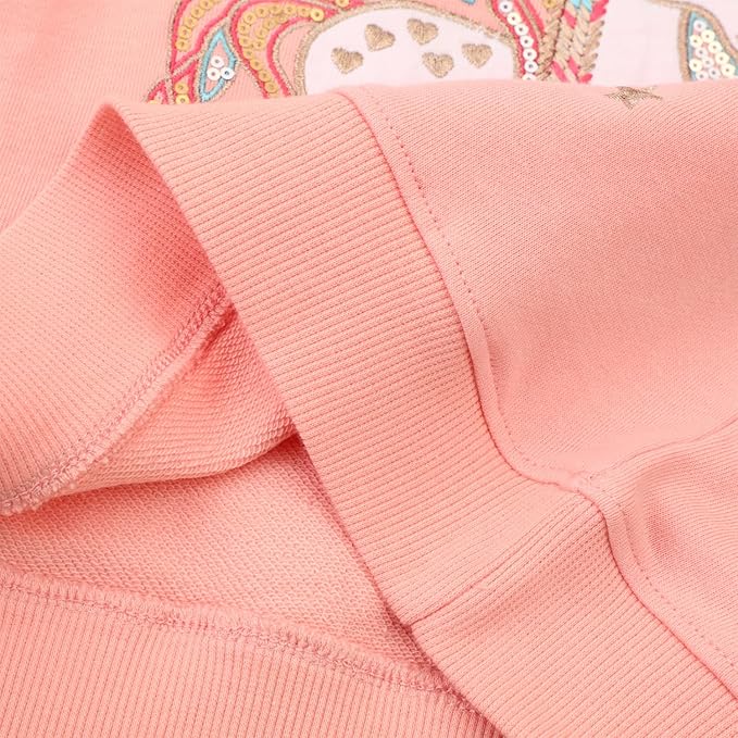 Bumeex Toddler Girl Sweatshirt Clothes Outfit,Cotton Crewneck Christmas Clothing