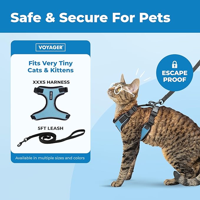 Voyager Escape-Proof Step-in Lock Cat Harness & 5ft Neoprene-Handle Leash Set All-Weather Mesh with Reflective Stitching for Small to Large Cats by Best Pet Supplies, Black Trim-Baby Blue (327), XXXS