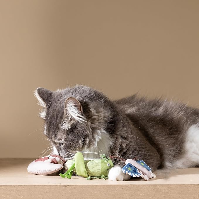 Fringe Studio Catch ME IF You CAN Cat Toy Mini Sets of 3, PetShop Collection (904038)