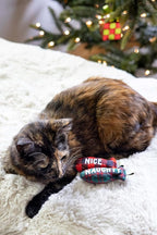 Pearhead Naughty Or Nice Christmas Cat Toy Set, Holiday Pet Owner Gift, Christmas Must Have Toy Set, Cat Teaser Toy, with Catnip Pouch, Set of 2