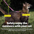 PetSafe Come With Me Kitty Cat Harness & Bungee Leash - Comfortable Cat Harness with Lightweight Bungee Leash for Outdoor Fun - More Secure Walks - Medium - Dusty Rose