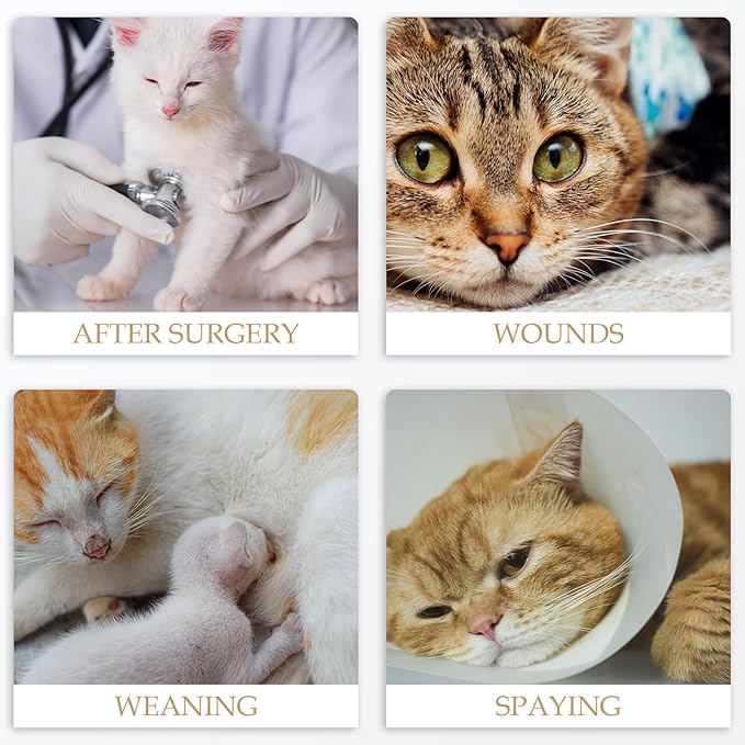 ANWA Cat Recovery Suit - Breathable Cat Onesie for Cats After Surgery Female, Kitten Surgery Recovery Suit Female Abdominal Wounds