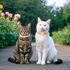 2 Pack Flower Cat Collars Breakaway with Bell, DOGWONG Safety Buckle Rose Floral Cute Cat Collar for Girl Boy Cats，Adjustable 7-12 Inch