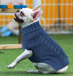 Cute Puppy Turtleneck Sweater for Small Dogs - Warm Dog Clothing for Dachshunds & Cats - Blue, Large