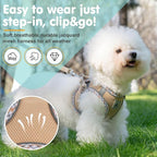 Dog Harness and Leash Set - No Pull Soft Breathable Small Dog Harness, Adjustable Reflective Step in Vest for Puppy, Kitten, Cats