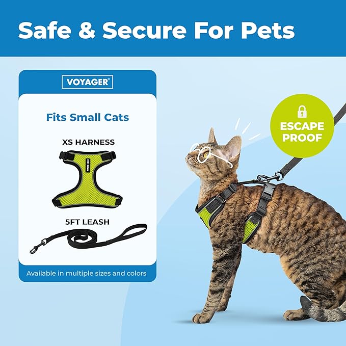 Voyager Escape-Proof Step-in Lock Cat Harness & 5ft Neoprene-Handle Leash Set All-Weather Mesh with Reflective Stitching for Small to Large Cats by Best Pet Supplies, Black Trim-Lime (327), XS