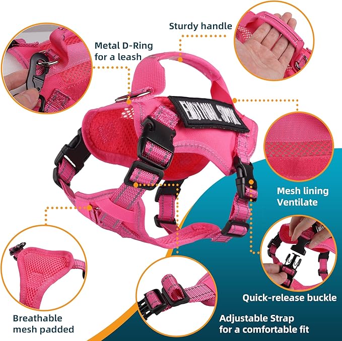 Tactical Cat Harness and Leash Pink for Walking Esacpe Proof, Adjustable Soft Mesh Large Cat Vest with Handle Easy to Control,Molle Patches L